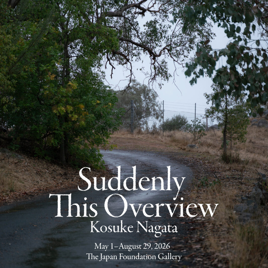 Suddenly This Overview