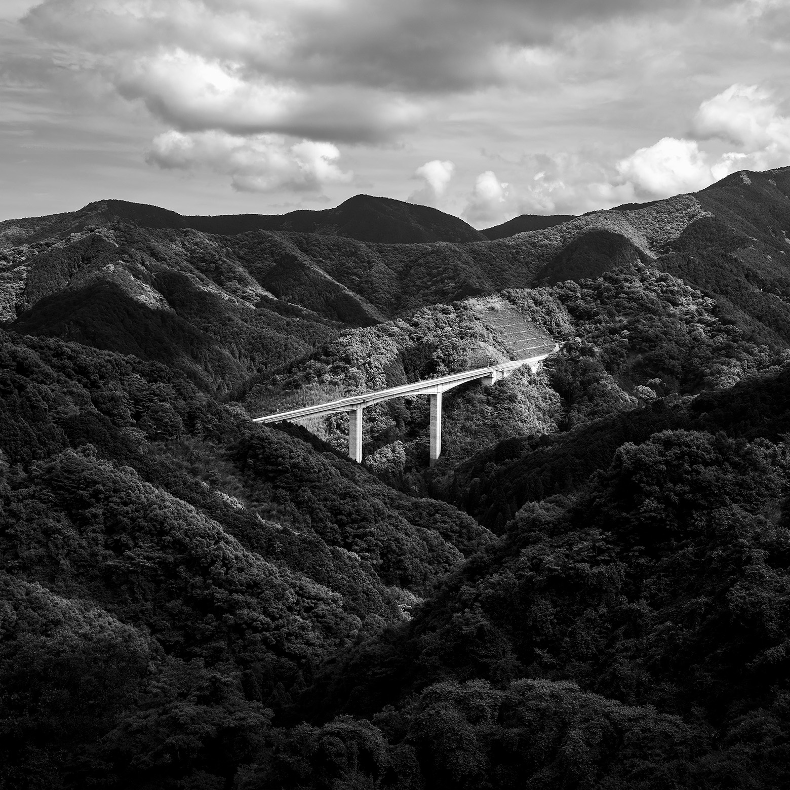 NSW Japan Foundation Sydney nsw-japan-foundation-sydney