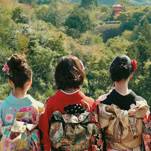 Evolving ensembles: Tracing Kimono Fashion Trends Through Images from the National Gallery of Victoria