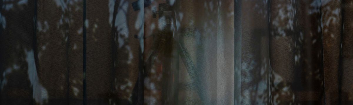 hanako-murakami-header