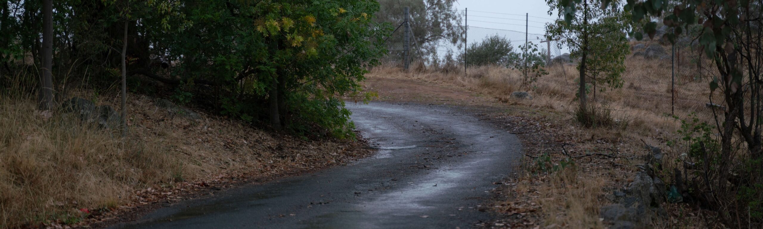 header-img (1)