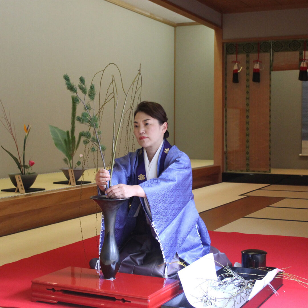 Ikenobo Sydney chapter’s 30th anniversary commemorative ikebana exhibition